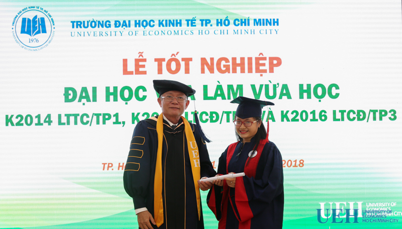 cá cược thể thao hul city